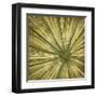 Stimulating 3-Randy Hibberd-Framed Art Print