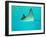 Sting Ray, Sea World, Gold Coast, Queensland, Australia-David Wall-Framed Premium Photographic Print