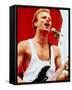 Sting-null-Framed Stretched Canvas