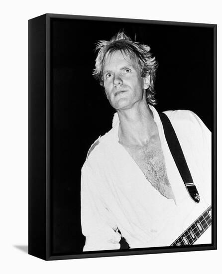 Sting-null-Framed Stretched Canvas