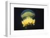 Stingless Jellyfish-Hal Beral-Framed Photographic Print