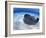 Stingray City, Grand Cayman, Cayman Islands, Caribbean-Greg Johnston-Framed Photographic Print