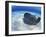 Stingray City, Grand Cayman, Cayman Islands, Caribbean-Greg Johnston-Framed Photographic Print