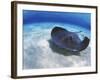 Stingray City, Grand Cayman, Cayman Islands, Caribbean-Greg Johnston-Framed Photographic Print