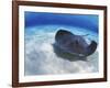 Stingray City, Grand Cayman, Cayman Islands, Caribbean-Greg Johnston-Framed Photographic Print