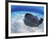 Stingray City, Grand Cayman, Cayman Islands, Caribbean-Greg Johnston-Framed Photographic Print