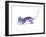 Stingray-Suren Nersisyan-Framed Art Print