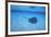 Stingray-DLILLC-Framed Photographic Print