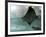 Stingray-null-Framed Photographic Print