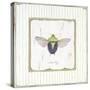 Stink Bug-Jan Cooley-Stretched Canvas