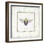 Stink Bug-Jan Cooley-Framed Art Print