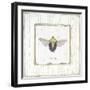 Stink Bug-Jan Cooley-Framed Art Print