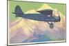 Stinson Detroiter Airplane-null-Mounted Art Print