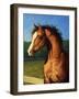 Stir Crazy-James W. Johnson-Framed Giclee Print