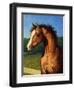 Stir Crazy-James W Johnson-Framed Giclee Print