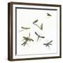 Stir Fly-Donna Basile-Framed Giclee Print