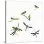 Stir Fly-Donna Basile-Stretched Canvas