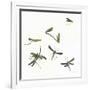 Stir Fly-Donna Basile-Framed Giclee Print