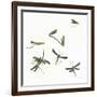 Stir Fly-Donna Basile-Framed Giclee Print