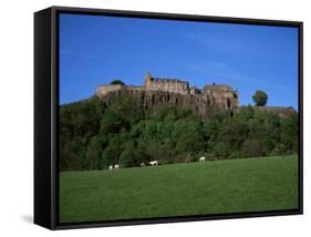 Stirling Castle, Central Region, Scotland, United Kingdom-Roy Rainford-Framed Stretched Canvas