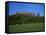 Stirling Castle, Central Region, Scotland, United Kingdom-Roy Rainford-Framed Stretched Canvas