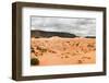 Stitched Panorama of Coral Pink Sands Dune National Park. Utah. USA-dmitry kushch-Framed Photographic Print