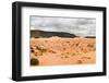 Stitched Panorama of Coral Pink Sands Dune National Park. Utah. USA-dmitry kushch-Framed Photographic Print