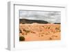 Stitched Panorama of Coral Pink Sands Dune National Park. Utah. USA-dmitry kushch-Framed Photographic Print