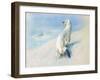 Stoat (Winter), from Thorburn's Mammals Published by Longmans and Co, C. 1920 (Colour Litho)-Archibald Thorburn-Framed Giclee Print