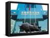 Stock Exchange, Shenzhen Special Economic Zone (Sez), Guangdong, China, Asia-Charles Bowman-Framed Stretched Canvas