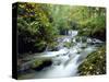 Stock Ghyll Beck, Ambleside, Lake District, Cumbria, England-Kathy Collins-Stretched Canvas