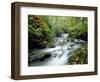 Stock Ghyll Beck, Ambleside, Lake District, Cumbria, England-Kathy Collins-Framed Photographic Print