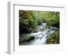 Stock Ghyll Beck, Ambleside, Lake District, Cumbria, England-Kathy Collins-Framed Photographic Print