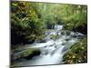 Stock Ghyll Beck, Ambleside, Lake District, Cumbria, England-Kathy Collins-Mounted Photographic Print