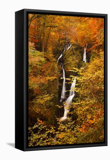 Stock Ghyll Force Waterfall in Autumn, Lake District National Park, Cumbria, England, UK-Ian Egner-Framed Stretched Canvas