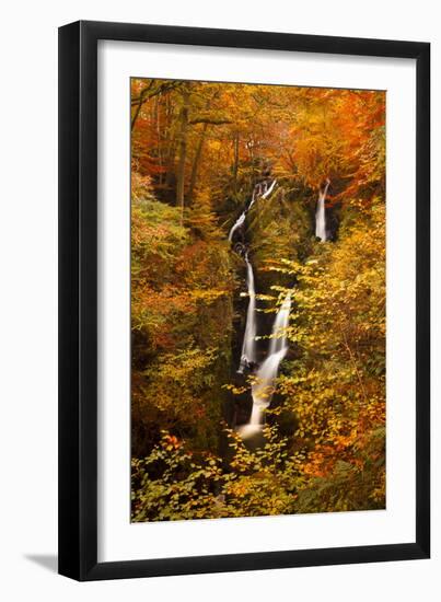 Stock Ghyll Force Waterfall in Autumn, Lake District National Park, Cumbria, England, UK-Ian Egner-Framed Photographic Print