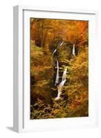 Stock Ghyll Force Waterfall in Autumn, Lake District National Park, Cumbria, England, UK-Ian Egner-Framed Photographic Print