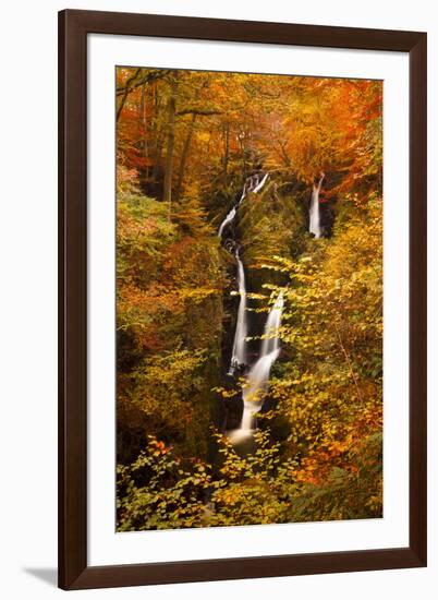 Stock Ghyll Force Waterfall in Autumn, Lake District National Park, Cumbria, England, UK-Ian Egner-Framed Photographic Print