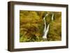 Stock Ghyll Waterfall, with Motion Blur from Wind, Lake District Np, Cumbria, England, UK, November-Ben Hall-Framed Photographic Print