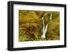 Stock Ghyll Waterfall, with Motion Blur from Wind, Lake District Np, Cumbria, England, UK, November-Ben Hall-Framed Photographic Print