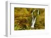 Stock Ghyll Waterfall, with Motion Blur from Wind, Lake District Np, Cumbria, England, UK, November-Ben Hall-Framed Photographic Print