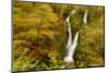 Stock Ghyll Waterfall, with Motion Blur from Wind, Lake District Np, Cumbria, England, UK, November-Ben Hall-Mounted Photographic Print