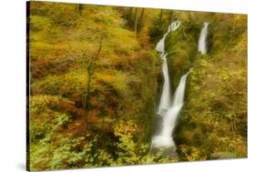 Stock Ghyll Waterfall, with Motion Blur from Wind, Lake District Np, Cumbria, England, UK, November-Ben Hall-Stretched Canvas