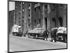 Stock Is Unloaded from Horse- Pulled Wagons and Drawn Up into the Warehouse by Rope-null-Mounted Photographic Print