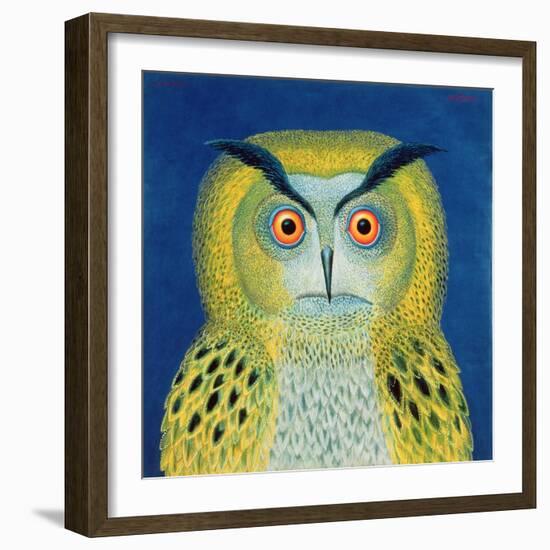Stock Owl, 1999-Tamas Galambos-Framed Giclee Print