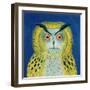 Stock Owl, 1999-Tamas Galambos-Framed Giclee Print