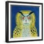 Stock Owl, 1999-Tamas Galambos-Framed Giclee Print