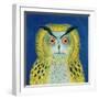 Stock Owl, 1999-Tamas Galambos-Framed Giclee Print