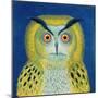 Stock Owl, 1999-Tamas Galambos-Mounted Giclee Print