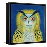 Stock Owl, 1999-Tamas Galambos-Framed Stretched Canvas